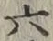 글자 六