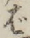 글자 ば