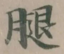 腿の位置