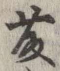 藤の位置