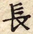 長 위치 확인됨