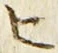 文字ヒ