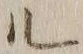 字ル