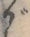 位置 確認된 が