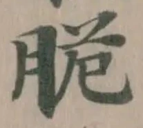 脆の位置