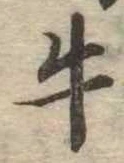 牛の位置