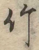 竹 위치 확인됨
