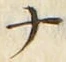 「ナ」字