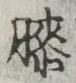 Đã định vị 膝