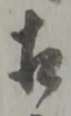 相 위치 확인됨