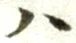 글자 ハ