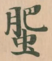 蜰 위치 확인됨