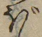 已定位ぼ
