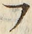𡨸フ
