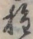 種の位置