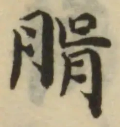 𦝖の位置