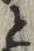 “と”字