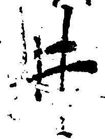 井 위치 확인됨