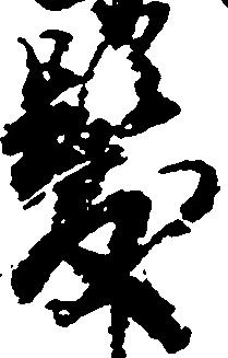 位置 確認된 髪