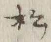 Chữ 松