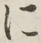 字に