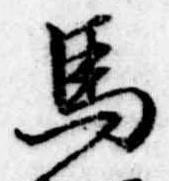 位置定マレル馬