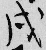 戌 위치 확인됨