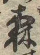 森 위치 확인됨