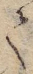 𛁳 위치 확인됨