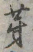 芽 위치 확인됨