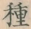 글자 種