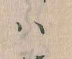 已定位𛂞