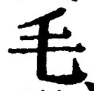 글자 毛
