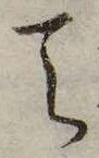 Đã định vị 天