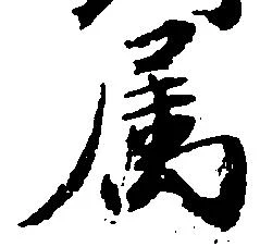 属の位置