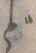 Đã định vị ど