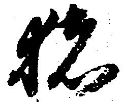 已定位猪