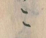 こ 위치 확인됨