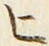 文字ヒ