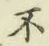 글자 不