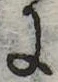 Đã định vị 𛂌