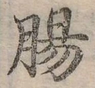 Đã định vị 腸
