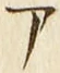 「ア」字