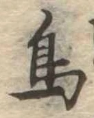 鳥 위치 확인됨
