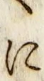 文字に