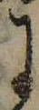 Đã định vị 𛂌