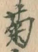 글자 菊