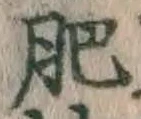 文字肥