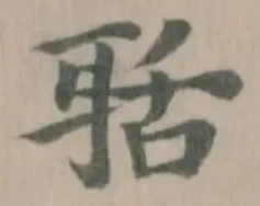 聒の位置