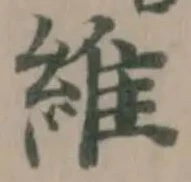 維の位置